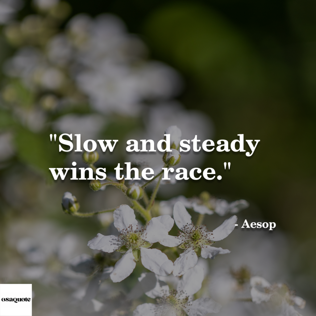 “Slow and steady wins the race.”