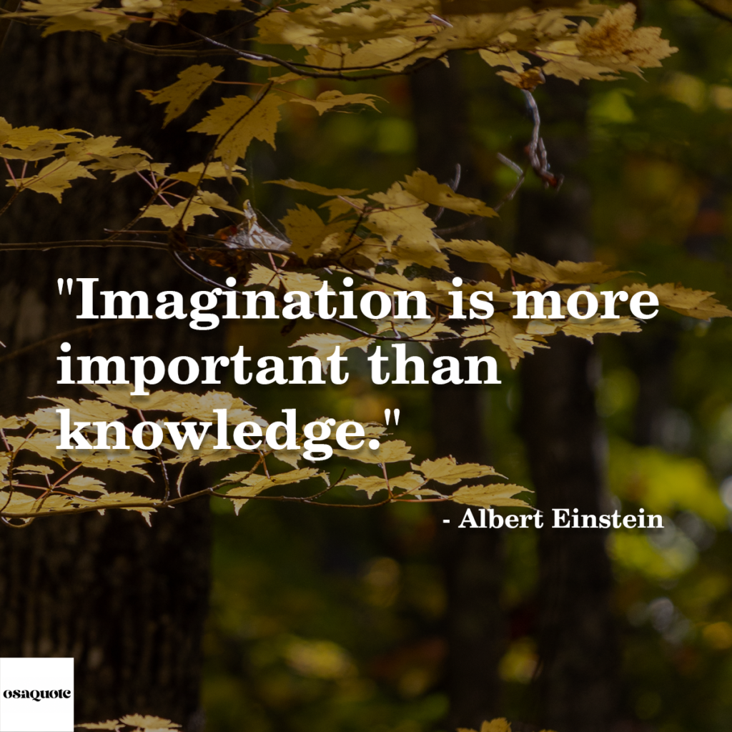 “Imagination is more important than knowledge.”