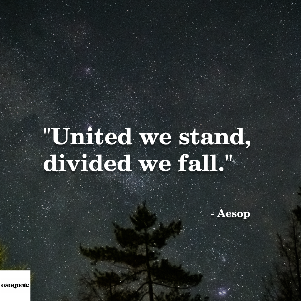 “United we stand, divided we fall.”