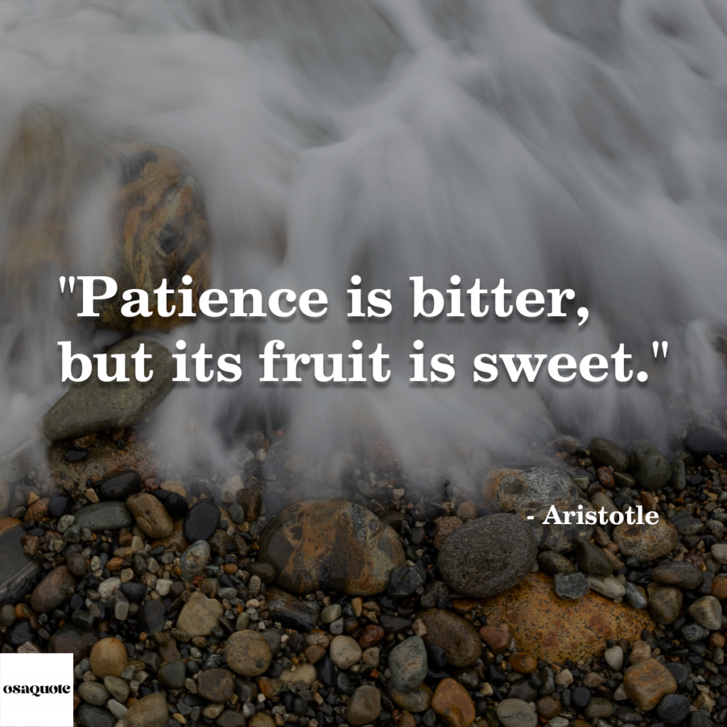 “Patience is bitter, but its fruit is sweet.”