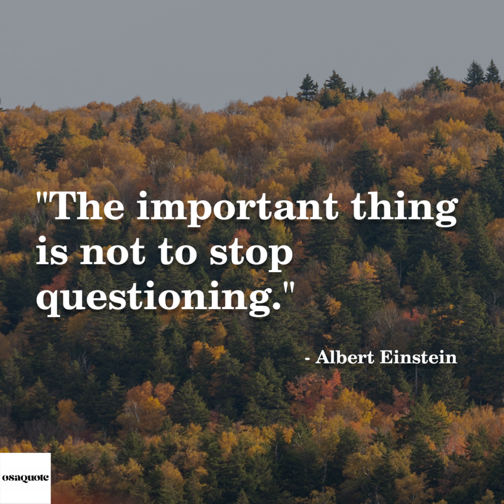 “The important thing is not to stop questioning.”