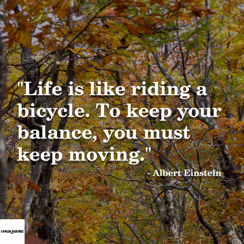 “Life is like riding a bicycle. To keep your balance, you must keep moving.”