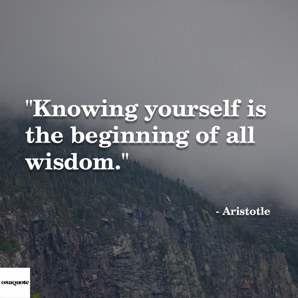 “Knowing yourself is the beginning of all wisdom.”